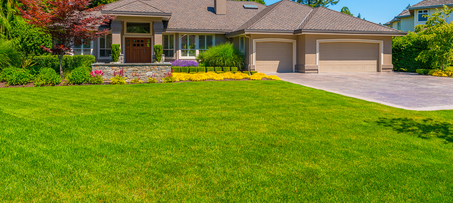 Beautiful homes
